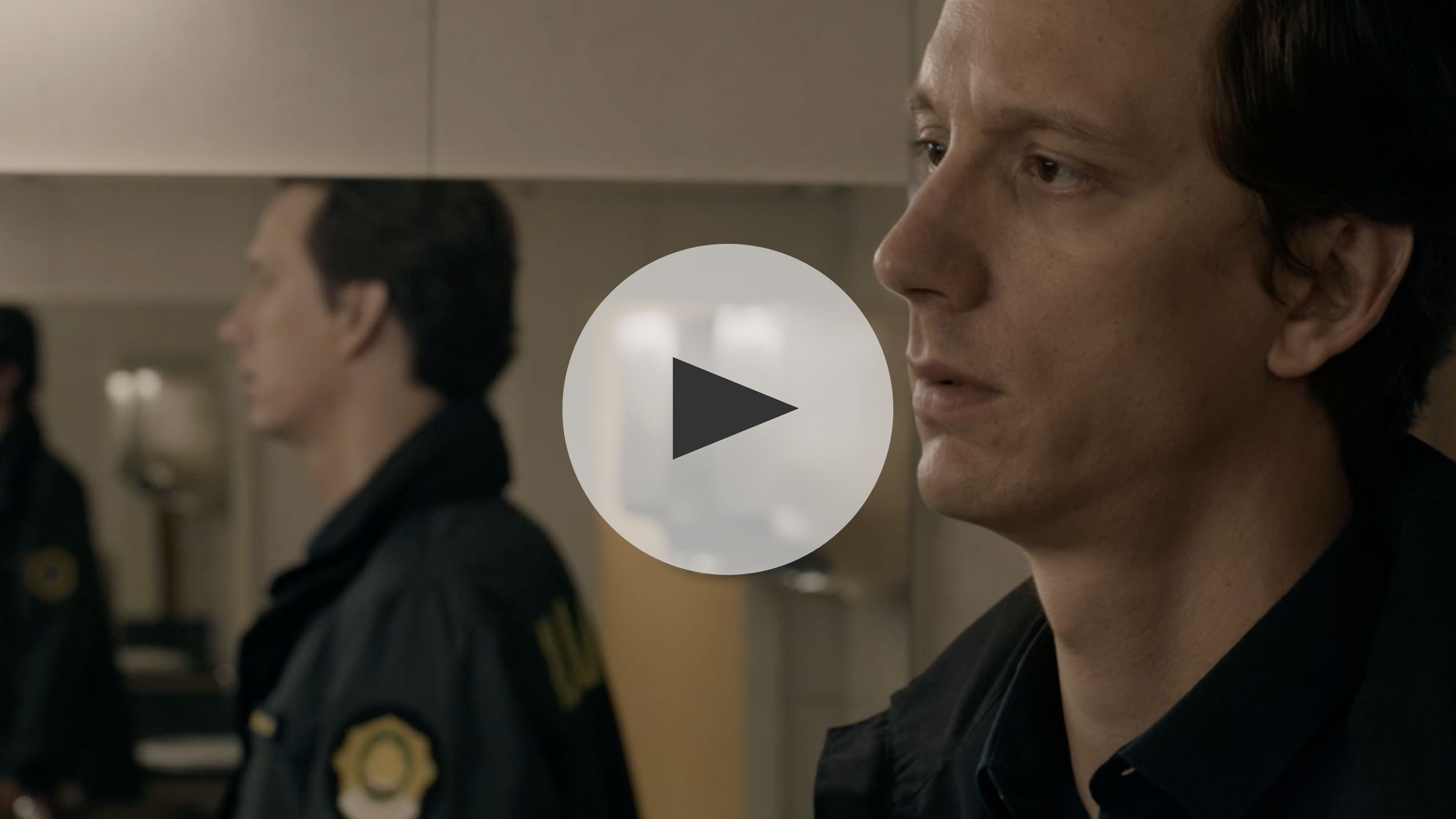 Cases of Inspector Vrenko